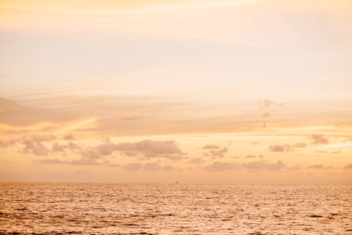 Khao lak Photographer, Khao lak Photography, Khao Lak Honeymoon Photographer, Khao Lak Proposal Photographer, Khao Lak Family Photographer, Khao Lak Couple Photographer, Khaolak wedding photography, Khaolak wedding photographer