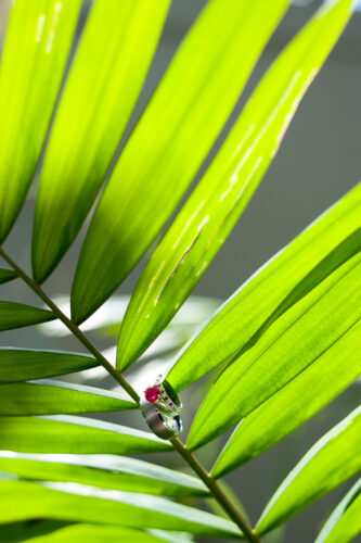 Khao lak Photographer, Khao lak Photography, Khao Lak Honeymoon Photographer, Khao Lak Proposal Photographer, Khao Lak Family Photographer, Khao Lak Couple Photographer, Khaolak wedding photography, Khaolak wedding photographer